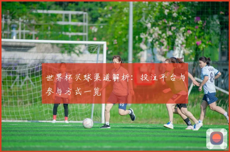 世界杯买球渠道解析:投注平台与参与方式一览