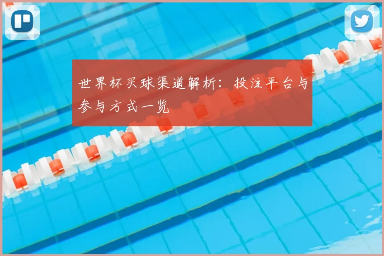 世界杯买球渠道解析：投注平台与参与方式一览